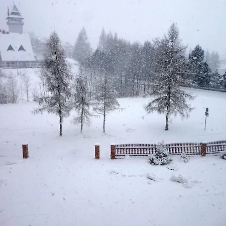 Kazik Guest house