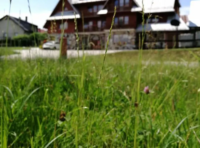 Affittacamere Kazik Maniowy